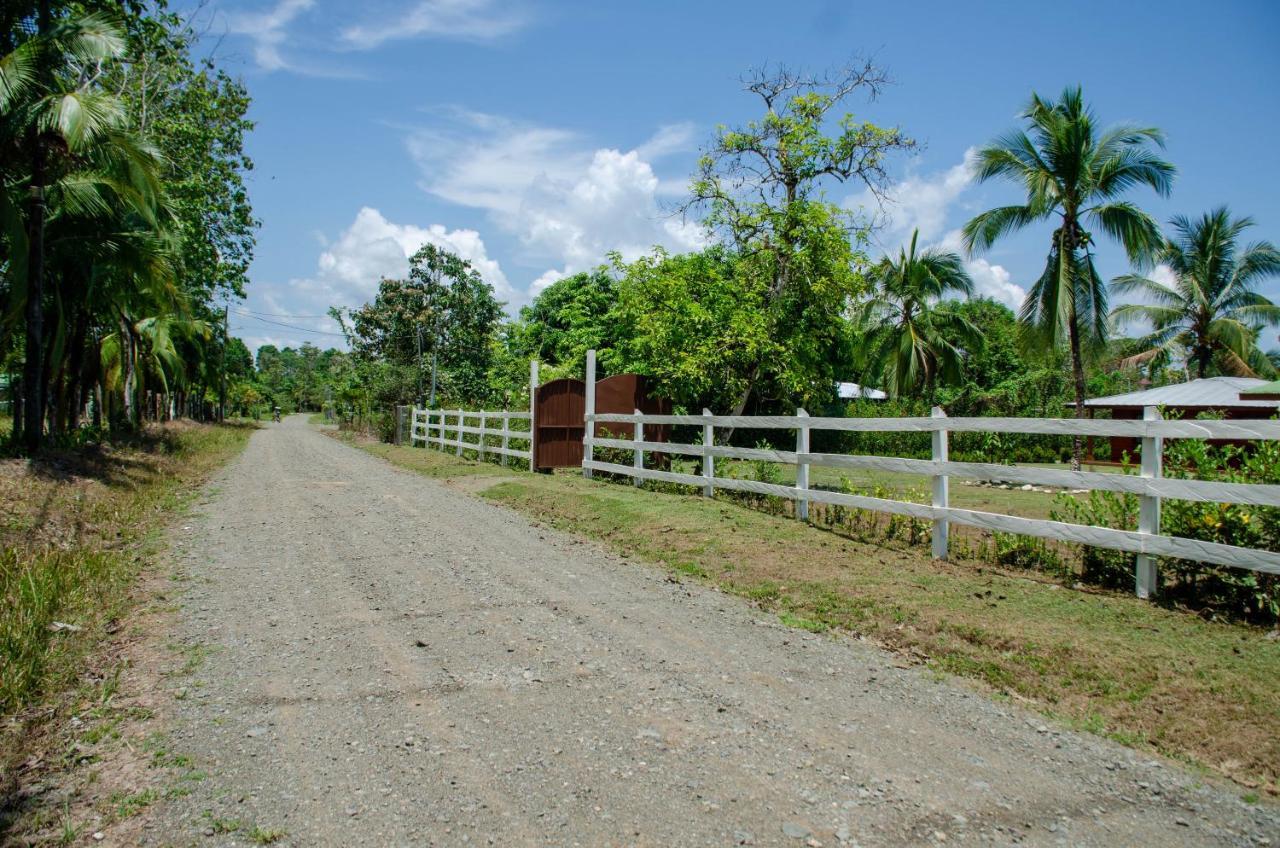 Hospedaje Y Alojamiento Cabanas Don Beto La Palma エクステリア 写真